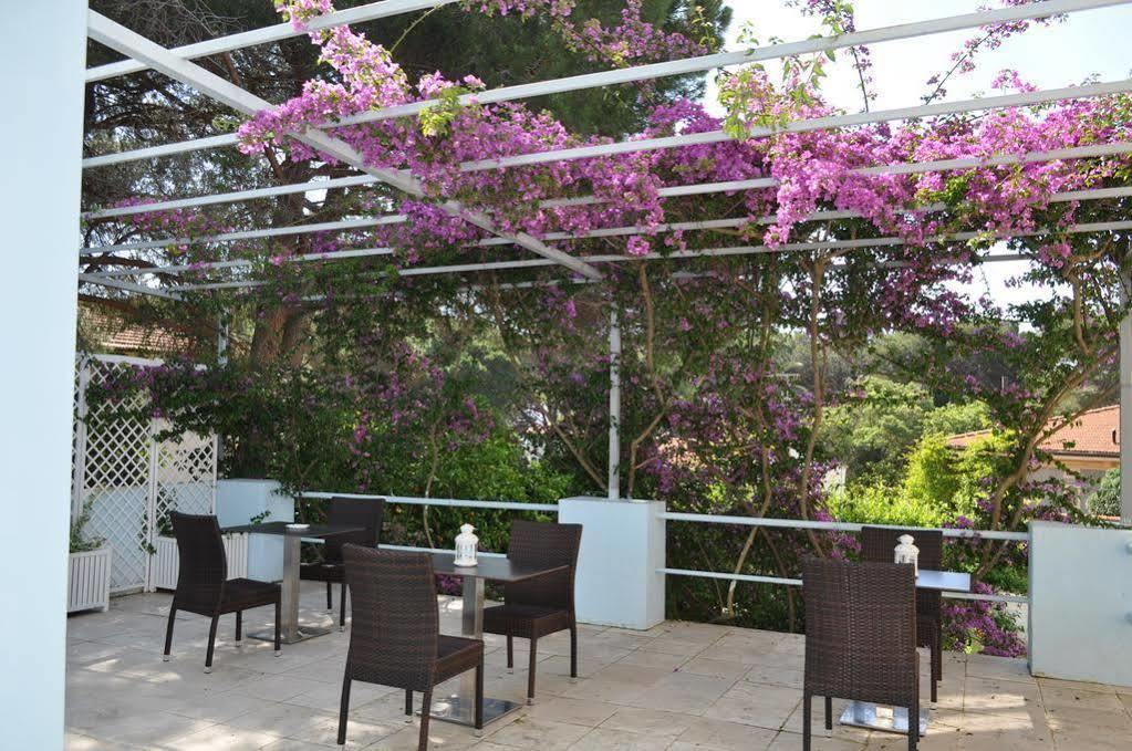 Hotel Guerrini Castiglioncello